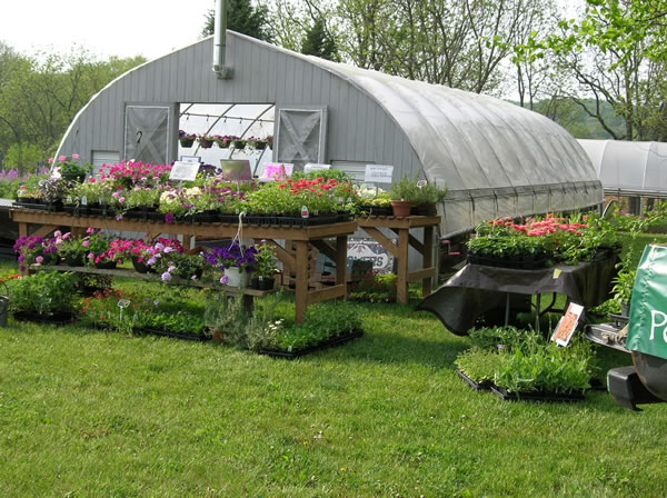 susan's annuals greenhouse