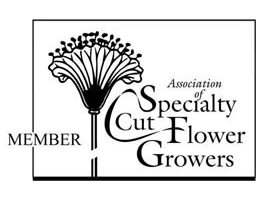 member - association of specialty cut flower growers